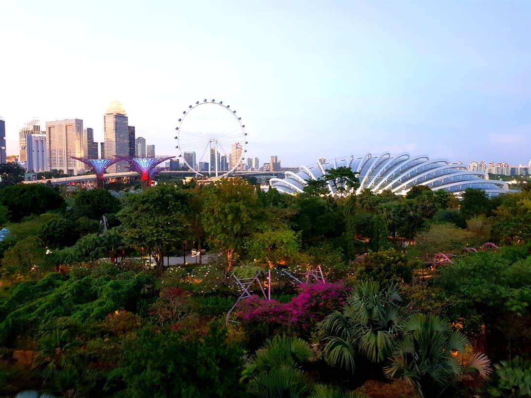 Gardens by the Bay, Singapur Flyer, und Flower Dome