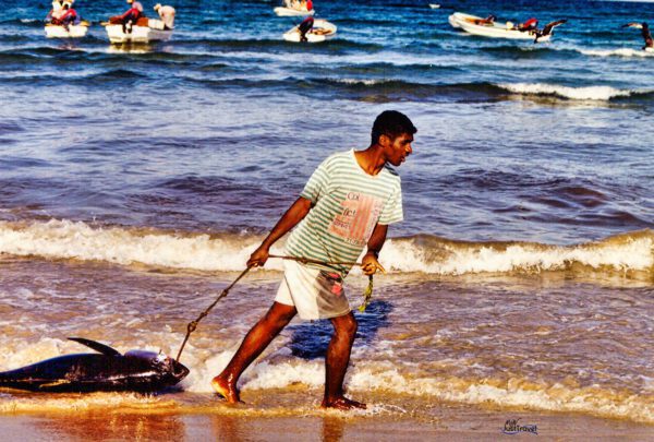 Anscheinend keine leichte Arbeit, den Thunfisch am Strand entlangzuziehen, Oman