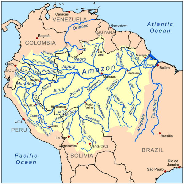 By Kmusser [CC BY-SA 3.0 (http://creativecommons.org/licenses/by-sa/3.0)], via Wikimedia Commons https://upload.wikimedia.org/wikipedia/commons/0/02/Amazonriverbasin_basemap.png