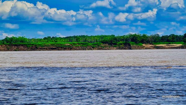 Parallelverlauf Rio Negro und Amazonas