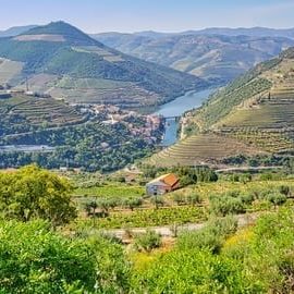 Das Douro Tal