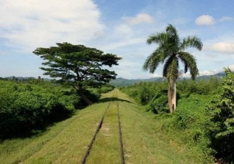 Zugfahrt durch die Zuckerrohrfelder Trinidad